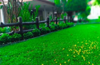 Olu Villa Lake Resort - Gallery Image 8